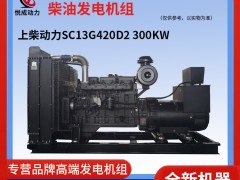 300KW上柴動(dòng)力柴油發(fā)電機(jī)組-SC13G420D2視頻解說