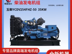 35KW玉柴柴油發(fā)電機(jī)組 視頻YCDV254FHZ-50