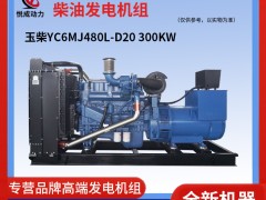 300KW玉柴柴油發(fā)電機組 YC6MJ480L-D20工廠視頻實拍
